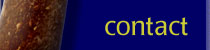 Contact Bryan Davis